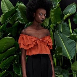Zara ruffled crop top
